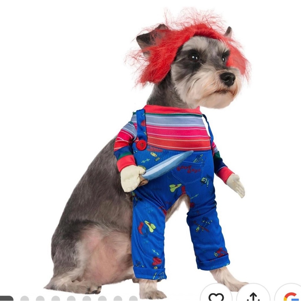 Chuckie look a like dog costume